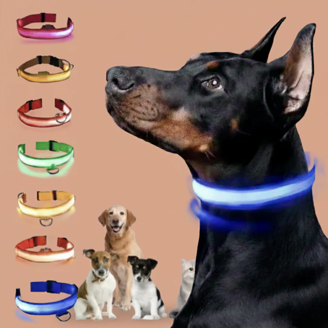 Collier LED