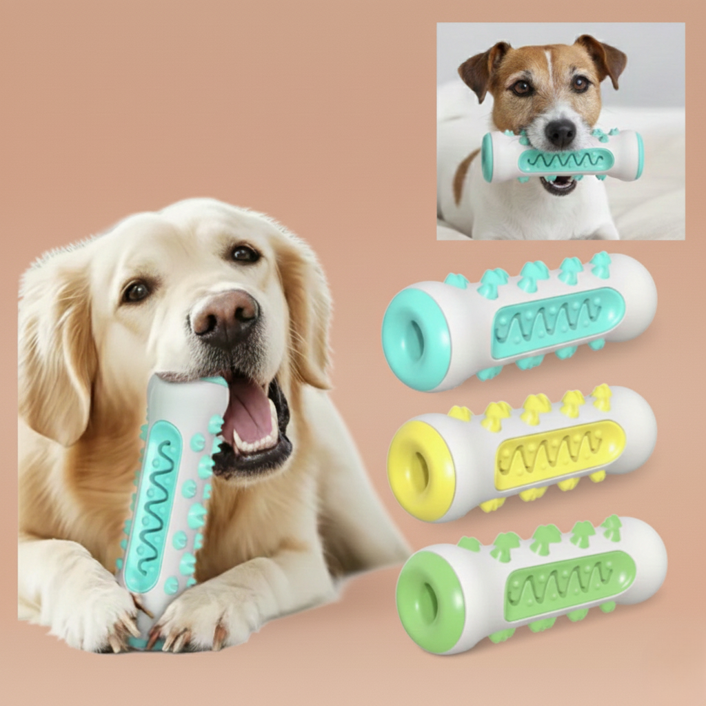 Jouet à mâcher - brosse à dent