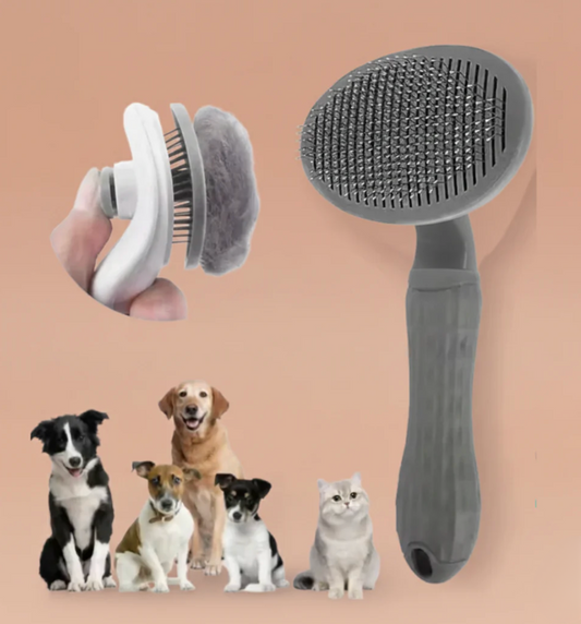 Brosse auto-nettoyante