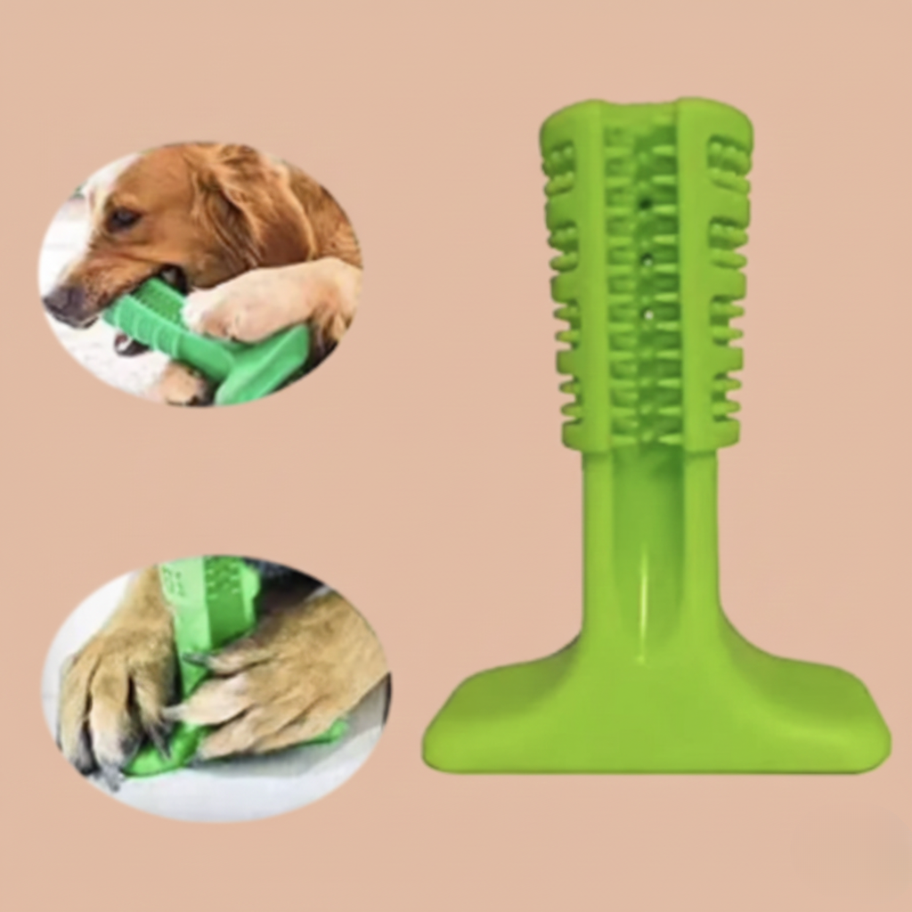 Brosse de nettoyage de dents