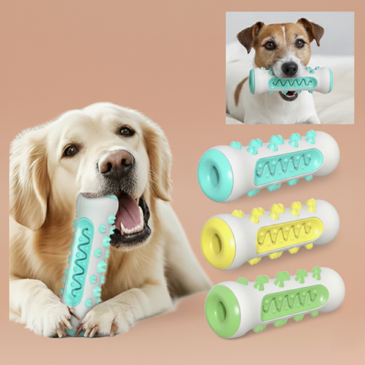 Jouet à mâcher - brosse à dent